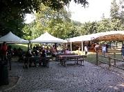 Domenica 1/8